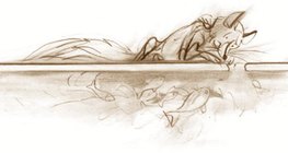 Aquatic animals survive in the 'warmer' water under the surface of the ice even if it is cold