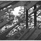 M. C. Escher: Puddle (Surrealism)