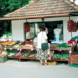 Grocery stand in early summer