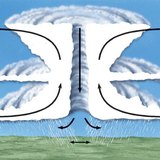 Тропически циклон