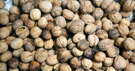 Walnuts