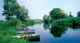 Reed cleans the water flowing from rivers to lakes
