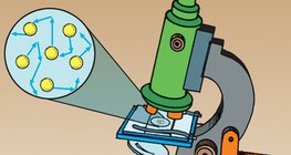 Brownian motion can be observed through a microscope