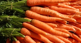 Carrots