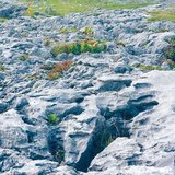 Limestone pavement