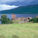 Зелена поляна в океанската климатична зона