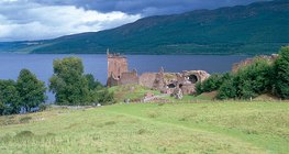 A green meadow in the oceanic climate zones