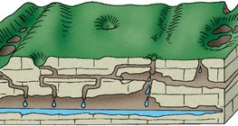 Water seeping through cracks in limestone
