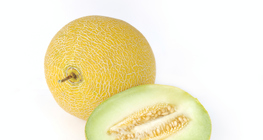 Melon