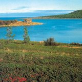 Тундрата през лятото