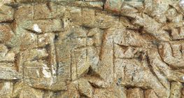 Sumerian cuneiform script