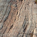 Tracks on rocks left by ice