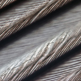 Фината структура на птичето перо (виждат се и клипсите за захващане на перото)