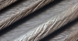 Fine structure of bird feather with interlocking barbules