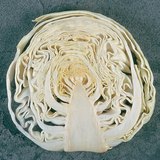 Вертикален разрез на зеле