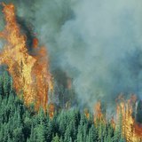 Горски пожар