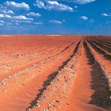 Soil degradation