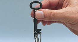 Iron can be magnetised by the magnetic field of a magnet.