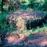 Компостиране