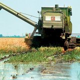 Belvíz az Alföldön