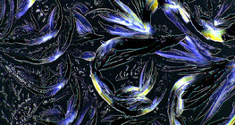 Glycine (amino acid) crystals