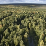 Тайгата през есента