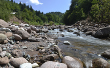 Upper course of river