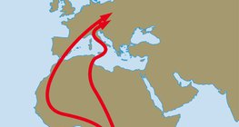 Migration route of barn swallows