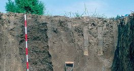 Profile of chernozem