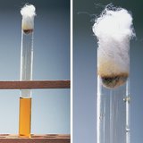 Bromine water reacts with potassium iodide