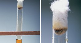 Bromine water reacts with potassium iodide