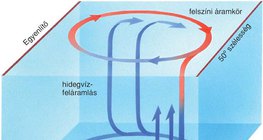 Óceáni medence önálló vízkörzési rendszere