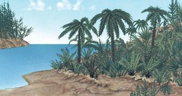 Flora of the Jurassic period