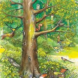 Animals of the forest