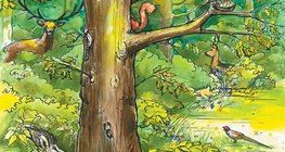 Animals of the forest