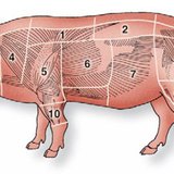 Cuts of pork