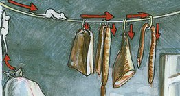 The life of a house mouse in the pantry and cellar