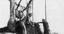 Shadoof, a traditional water lifting device in Egypt