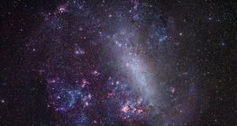 The Large Magellanic Cloud