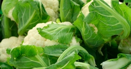 Cauliflower