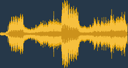Lesser spotted woodpecker