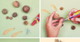 Creating figures from autumn fruits