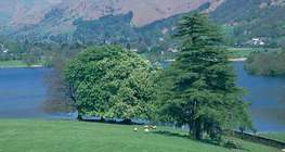 Parklands can be found in deforested areas in England