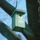 Nest box