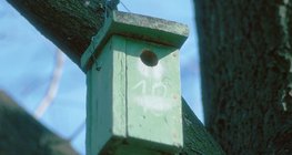 Nest box