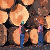 Дървени трупи в Канада