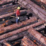 Timber rafting in Canada