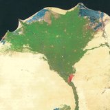 ナイル川の氾濫原