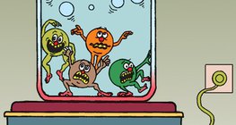 The more vivid particle motion is indicated by a higher temperature