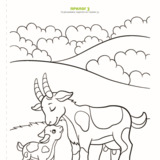 Прилог број 3